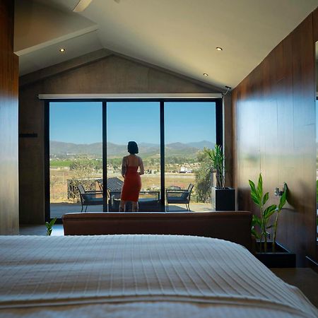 Bajo Estrellas Hotel Contemporaneo Guadalupe Eksteriør billede